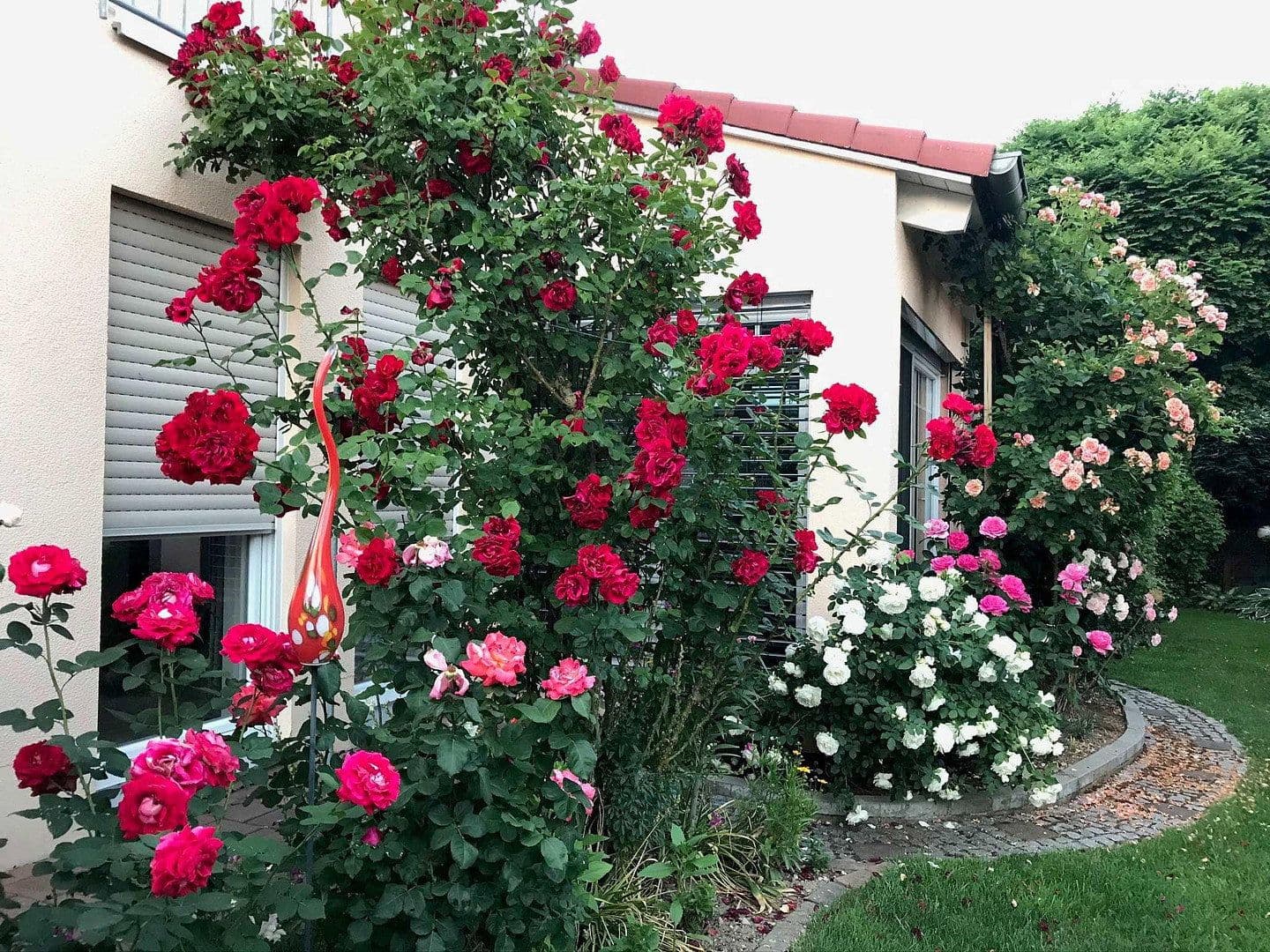 Predaj domu 139 m², pozemek 552 m², Reichertshofen, Bavorsko Predaj domu 139 m², pozemek 552 m², Reichertshofen, Bavorsko