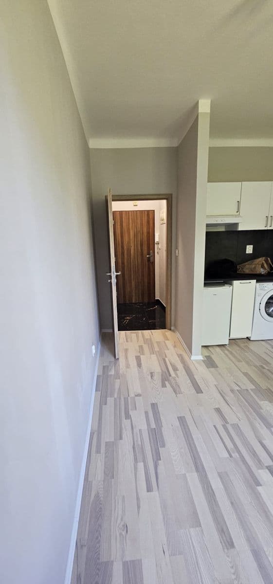Prenájom bytu 1-izbový 25 m², Ke Strašnické, Praha, Praha Prenájom bytu 1-izbový 25 m², Ke Strašnické, Praha, Praha