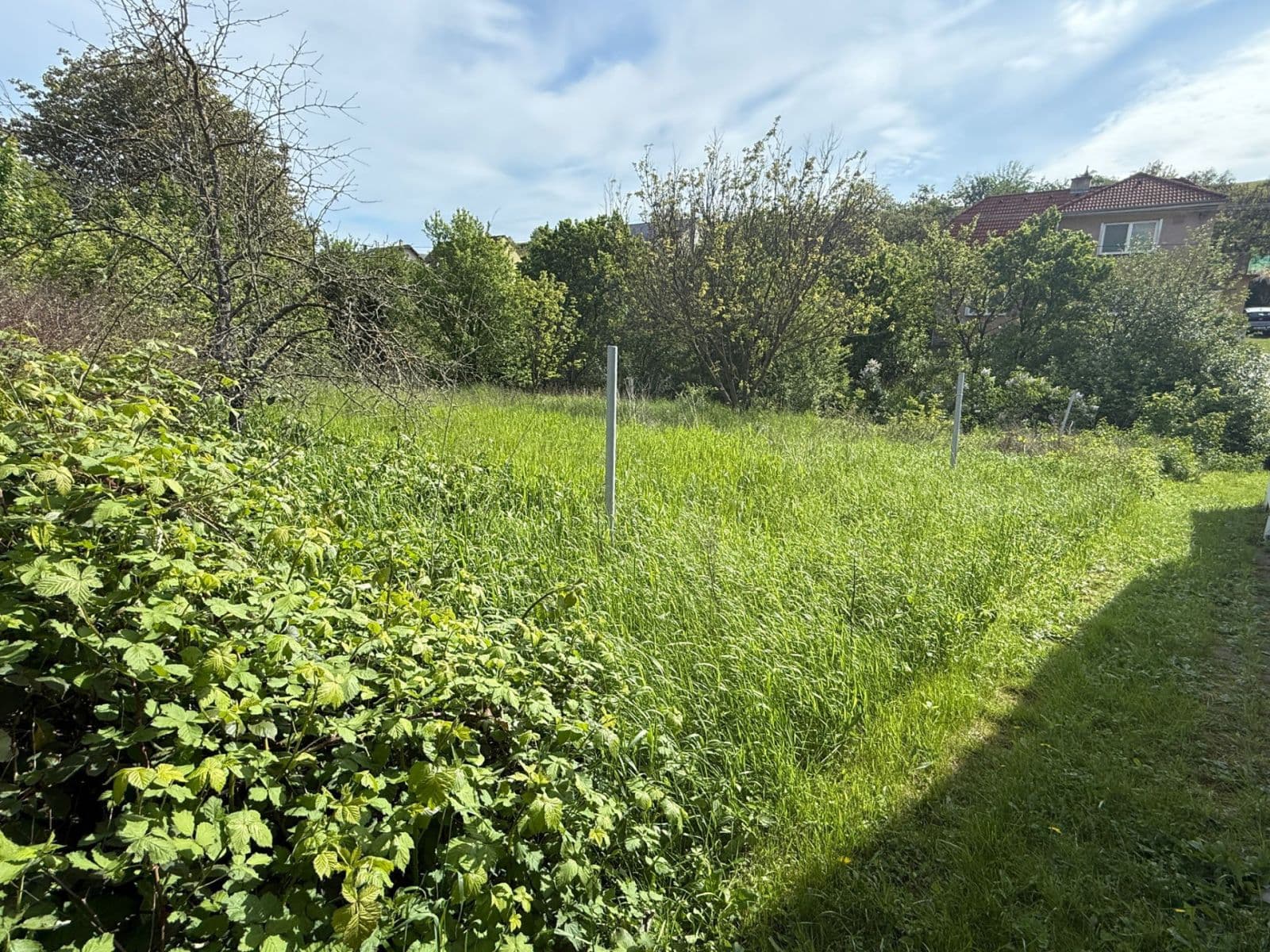 Prenájom pozemku 420 m², Sobůlky, Jihomoravský kraj Prenájom pozemku 420 m², Sobůlky, Jihomoravský kraj