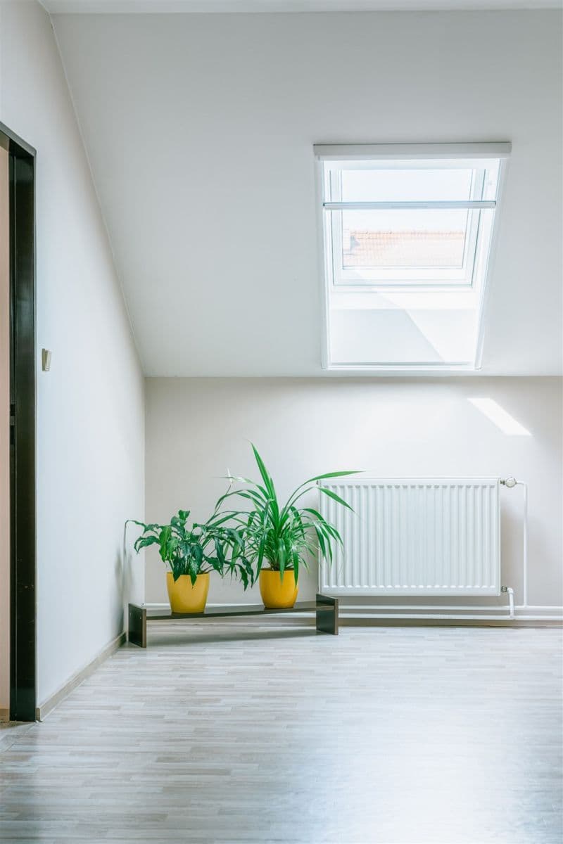 Predaj domu 260 m², pozemek 273 m², Bučovická, Slavkov u Brna, Jihomoravský kraj Predaj domu 260 m², pozemek 273 m², Bučovická, Slavkov u Brna, Jihomoravský kraj