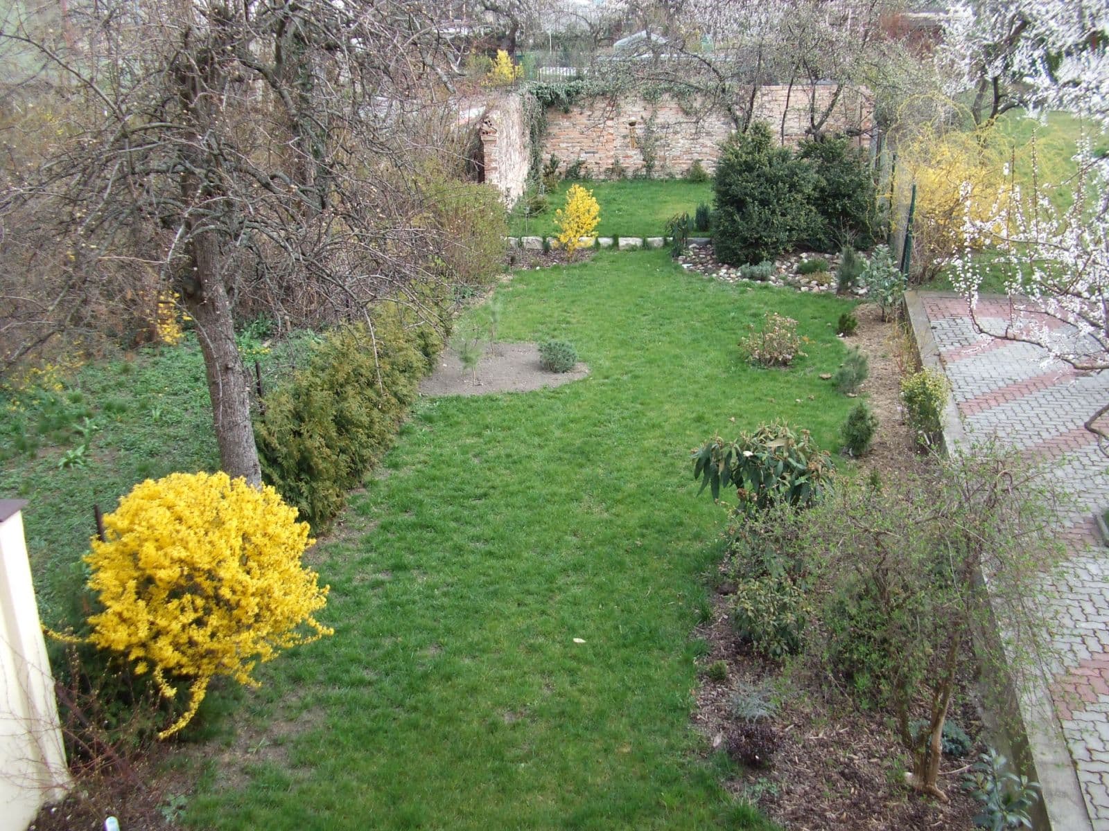 Prenájom bytu 3-izbový 60 m², Pechova, Brno, Jihomoravský kraj Prenájom bytu 3-izbový 60 m², Pechova, Brno, Jihomoravský kraj