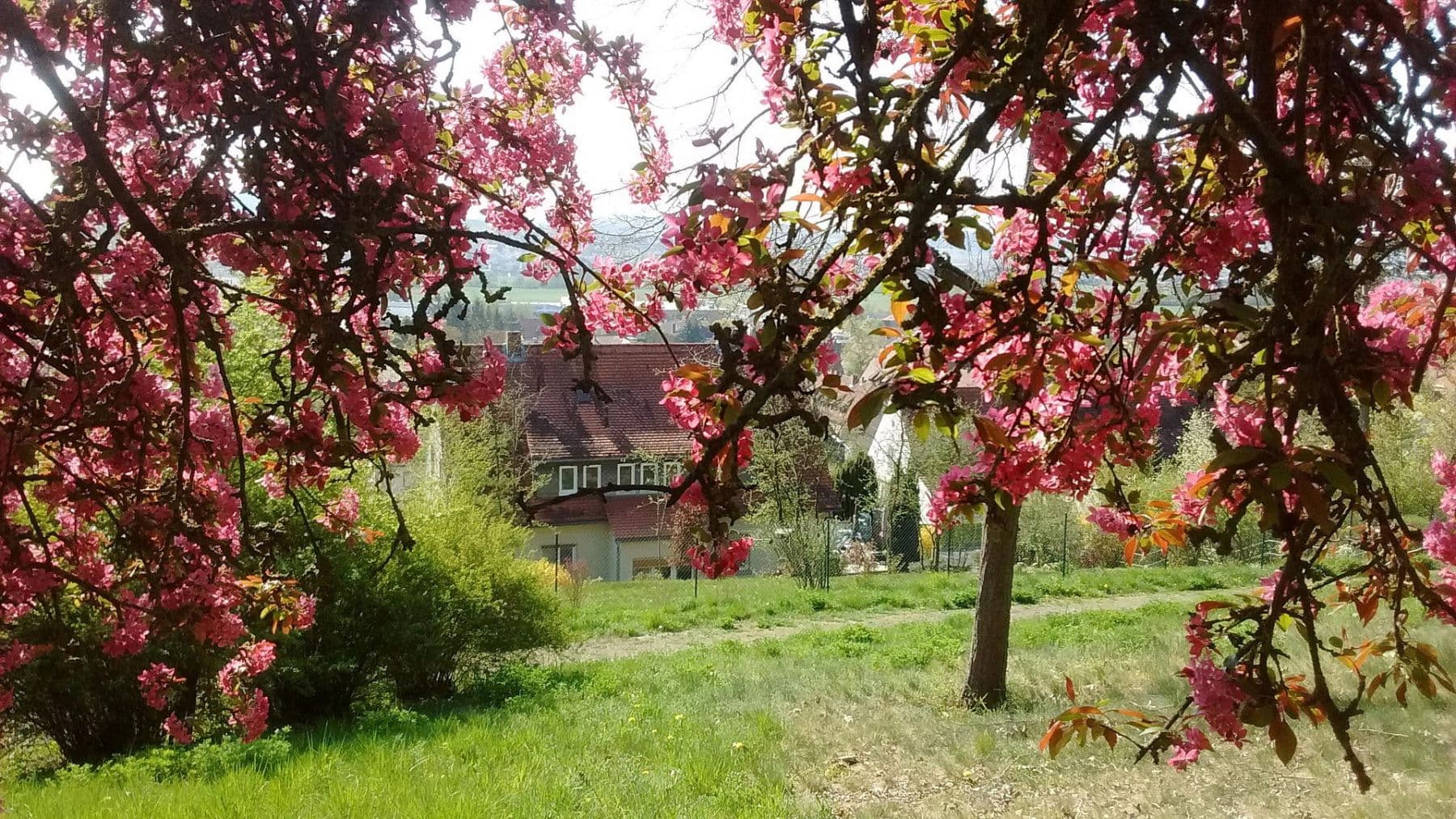 Predaj domu 223 m², pozemek 1.074 m², Bad Neustadt an der Saale, Bavorsko Predaj domu 223 m², pozemek 1.074 m², Bad Neustadt an der Saale, Bavorsko