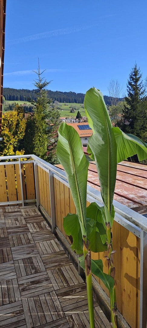 Predaj domu 135 m², pozemek 627 m², Weitnau, Bavorsko Predaj domu 135 m², pozemek 627 m², Weitnau, Bavorsko