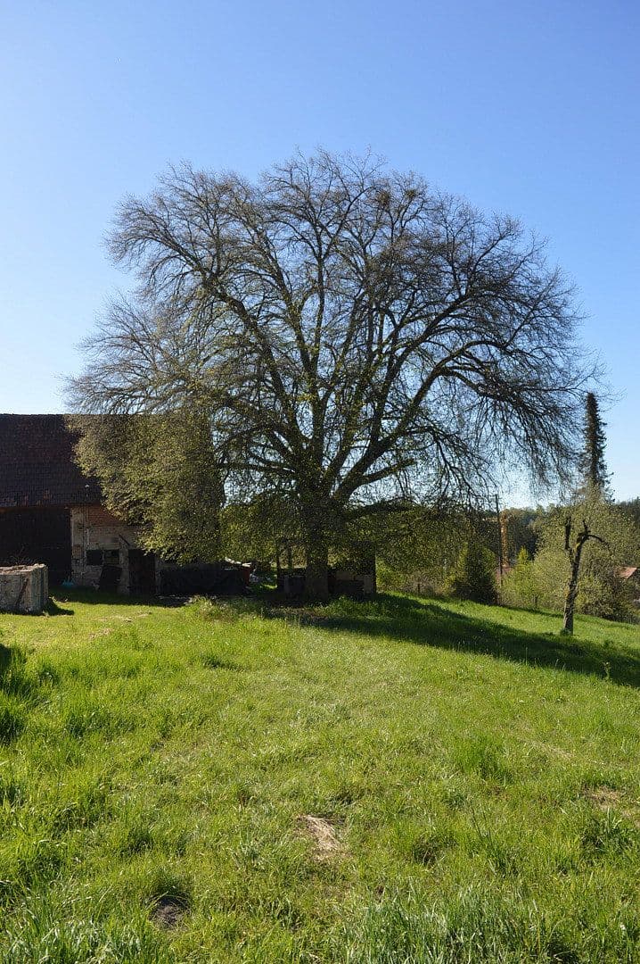 Predaj domu 114 m², pozemek 2.874 m², In den Gärten 2, Großerlach, Bádensko-Wurttembersko Predaj domu 114 m², pozemek 2.874 m², In den Gärten 2, Großerlach, Bádensko-Wurttembersko