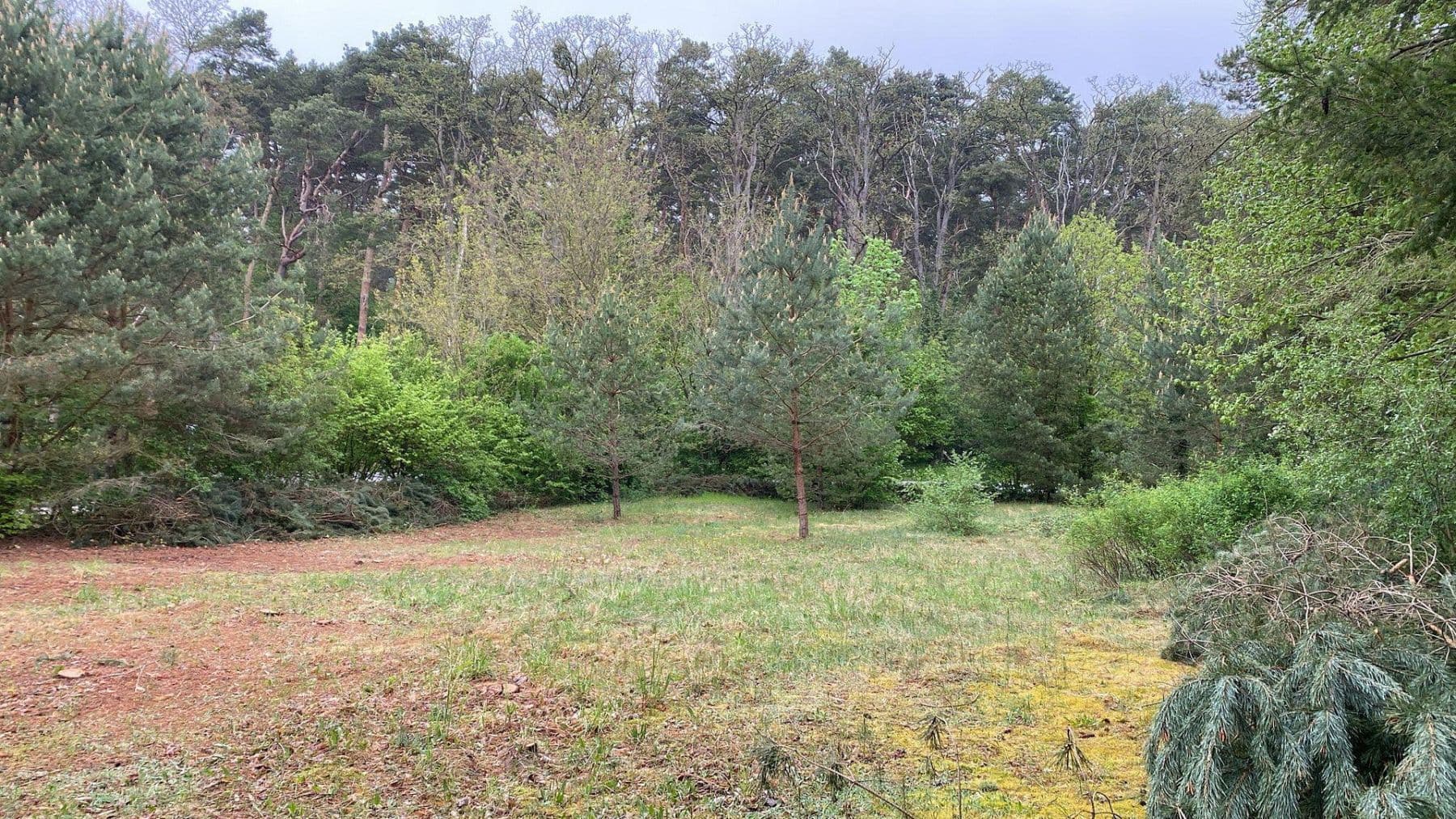 Predaj pozemku 1.254 m², Löwenberger Land, Brandenbursko Predaj pozemku 1.254 m², Löwenberger Land, Brandenbursko