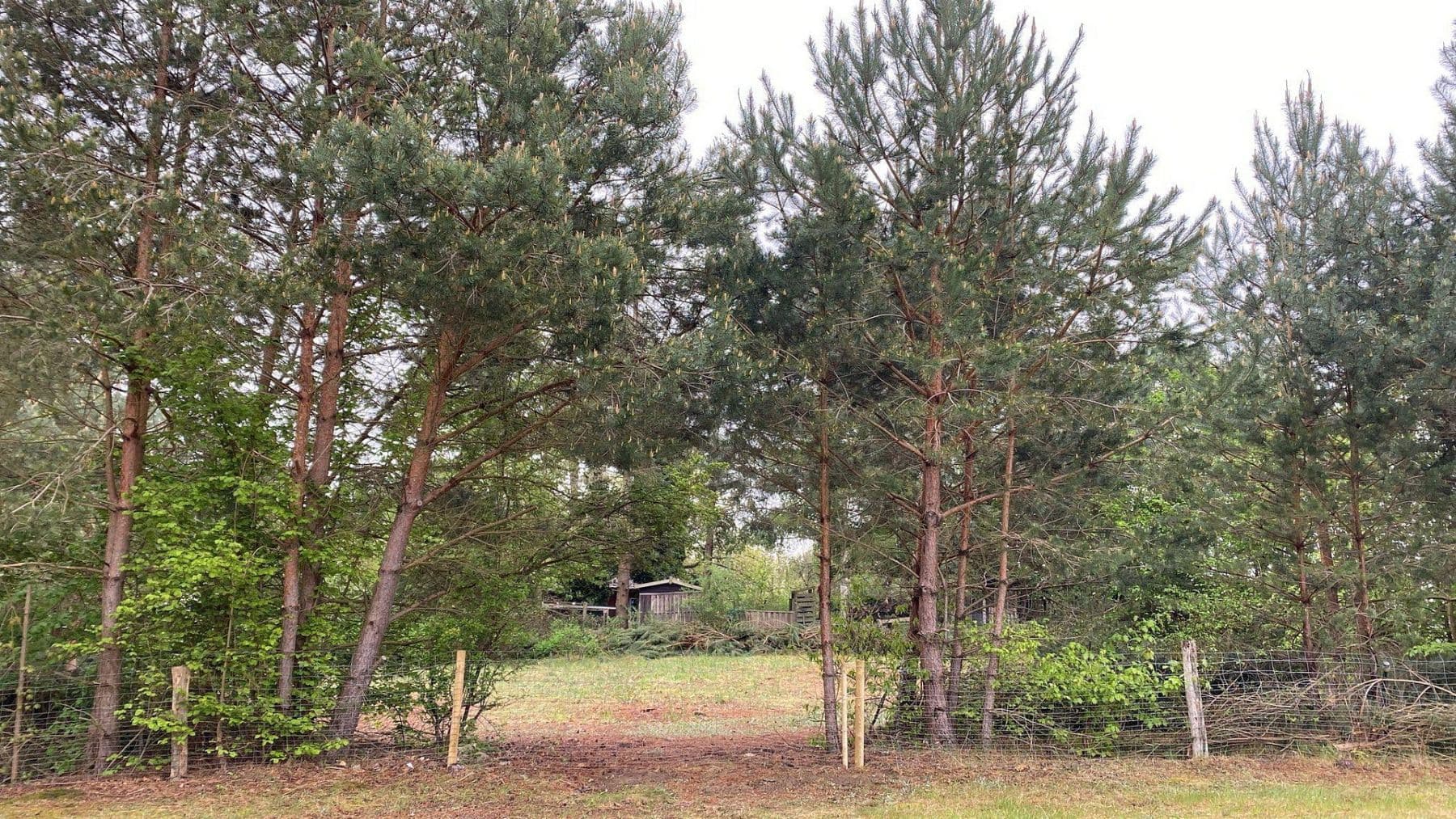 Predaj pozemku 1.254 m², Löwenberger Land, Brandenbursko Predaj pozemku 1.254 m², Löwenberger Land, Brandenbursko