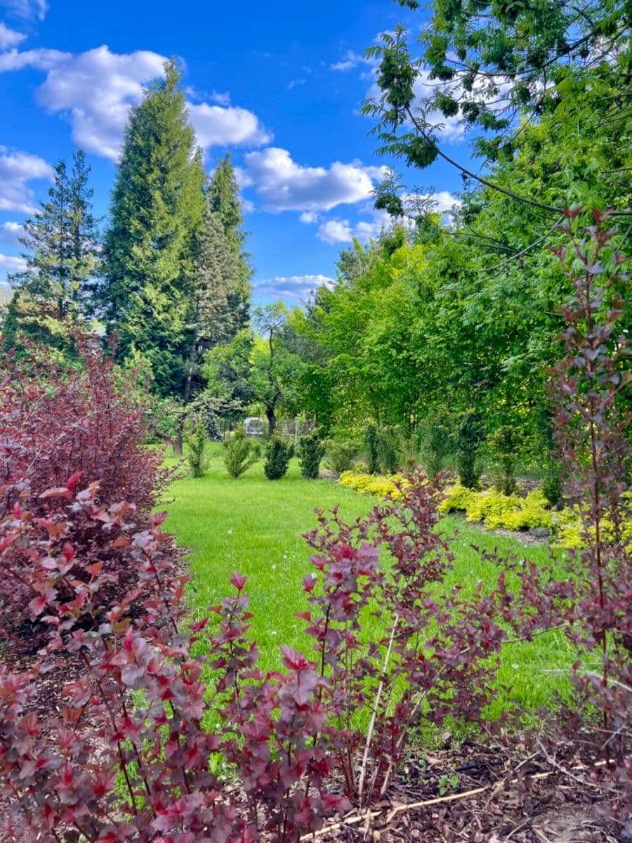 Predaj pozemku 806 m², Česká Lípa, Liberecký kraj Predaj pozemku 806 m², Česká Lípa, Liberecký kraj