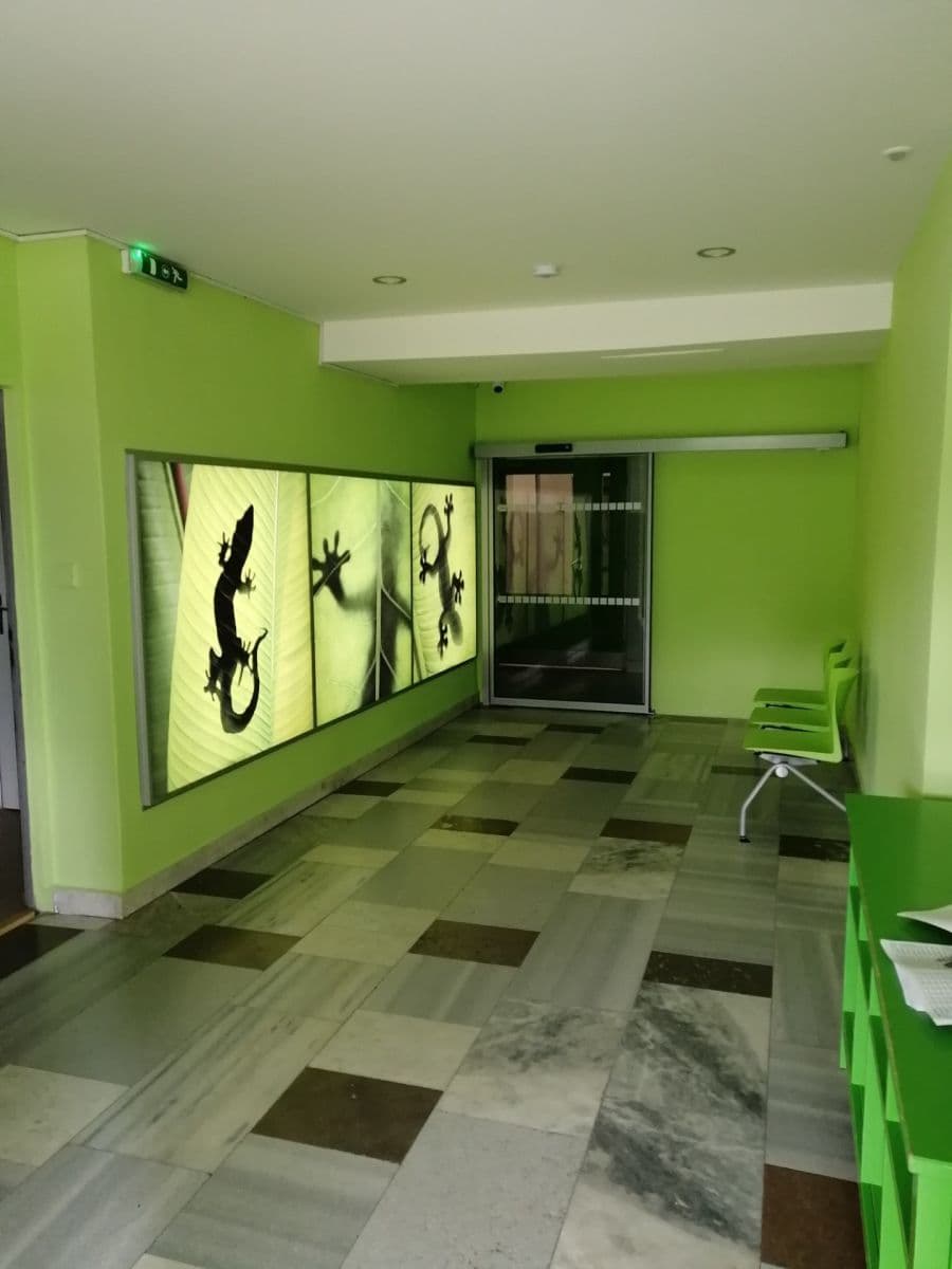 Prenájom bytu 3-izbový 65 m², Kmochova, Olomouc, Olomoucký kraj Prenájom bytu 3-izbový 65 m², Kmochova, Olomouc, Olomoucký kraj