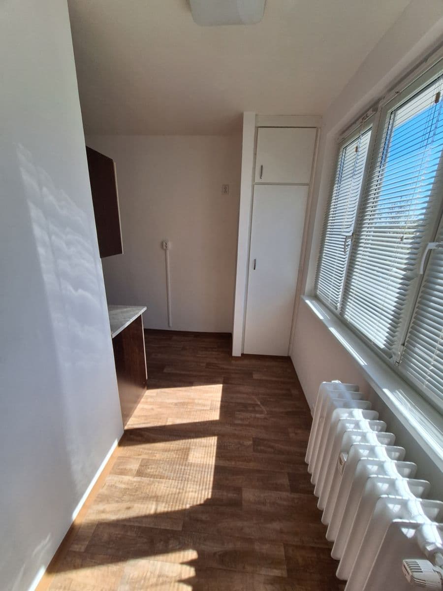 Prenájom bytu 1-izbový 38 m², Nepomucká, Plzeň, Plzeňský kraj Prenájom bytu 1-izbový 38 m², Nepomucká, Plzeň, Plzeňský kraj