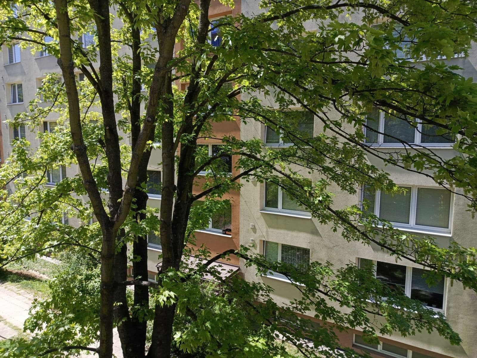 Predaj bytu 3-izbový 73 m², Slezská, Zlín, Zlínský kraj Predaj bytu 3-izbový 73 m², Slezská, Zlín, Zlínský kraj
