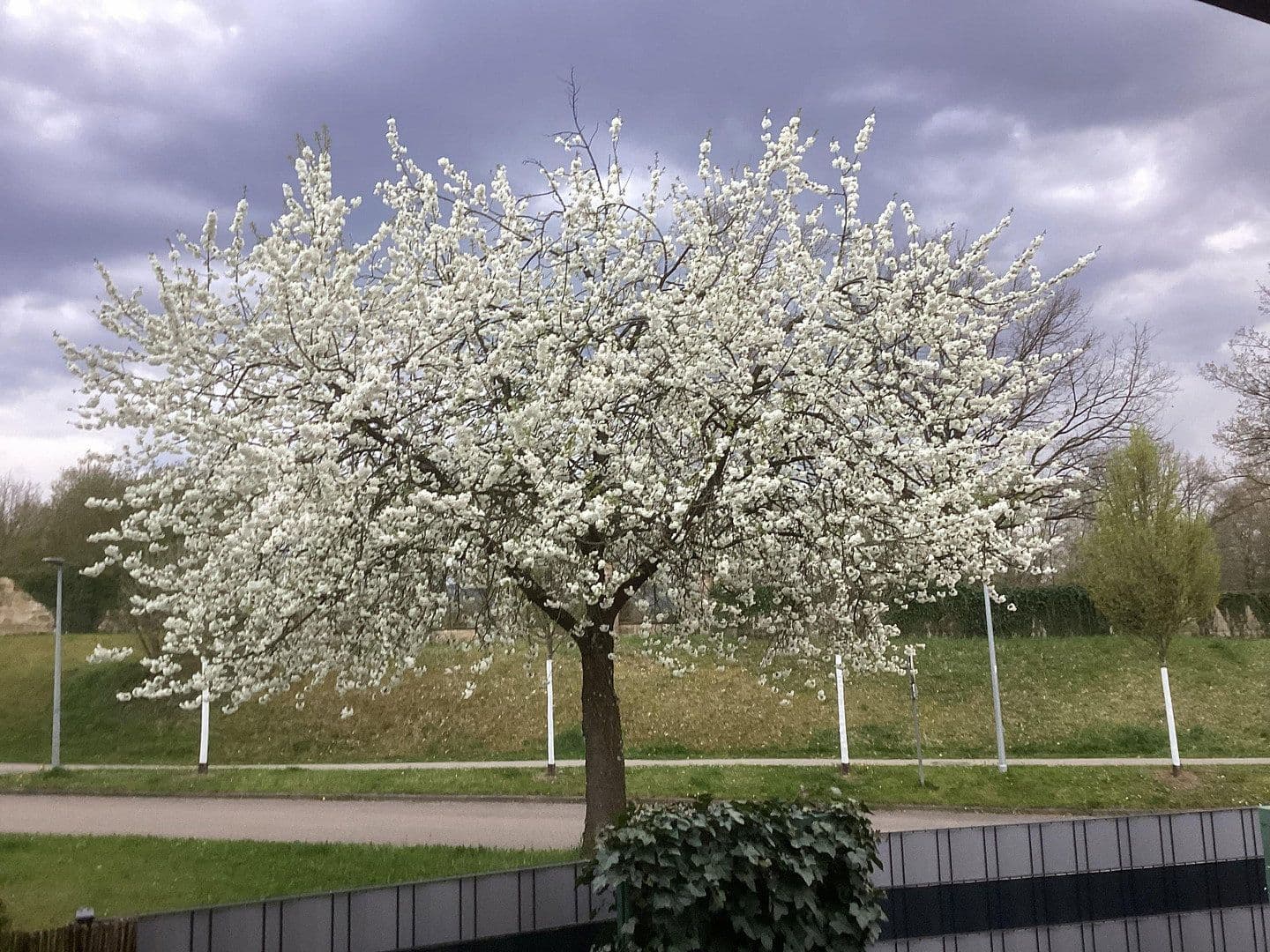 Predaj bytu 3-izbový 100 m², Weinstadt, Bádensko-Wurttembersko Predaj bytu 3-izbový 100 m², Weinstadt, Bádensko-Wurttembersko