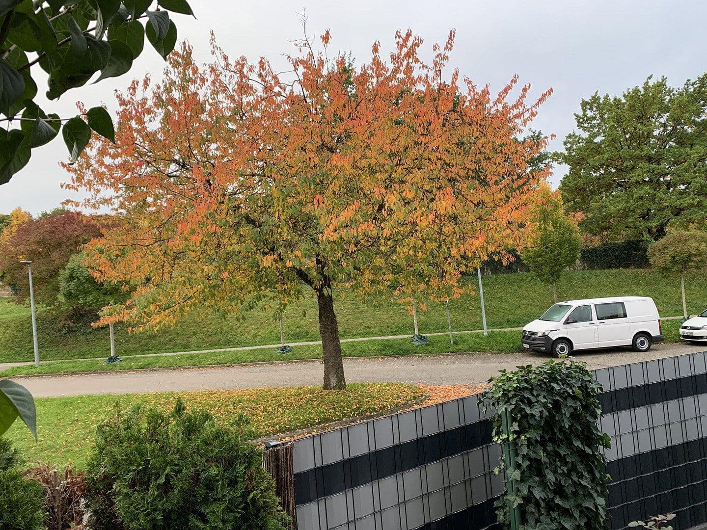 Predaj bytu 3-izbový 100 m², Weinstadt, Bádensko-Wurttembersko Predaj bytu 3-izbový 100 m², Weinstadt, Bádensko-Wurttembersko