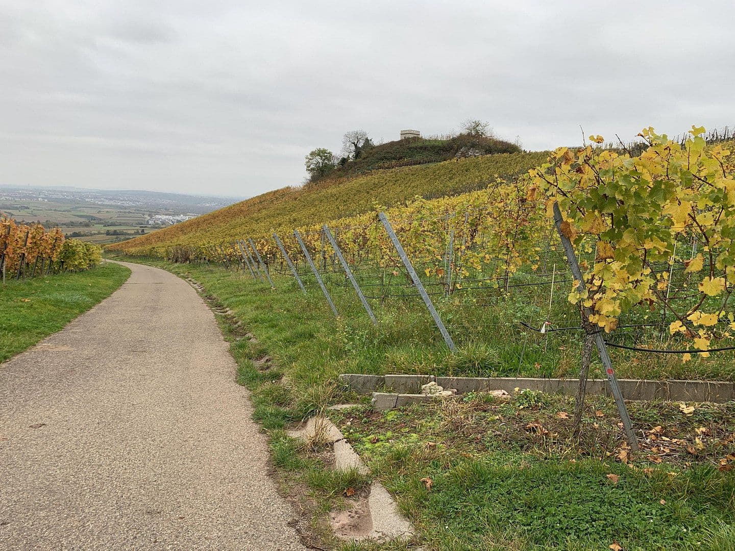 Predaj bytu 3-izbový 100 m², Weinstadt, Bádensko-Wurttembersko Predaj bytu 3-izbový 100 m², Weinstadt, Bádensko-Wurttembersko