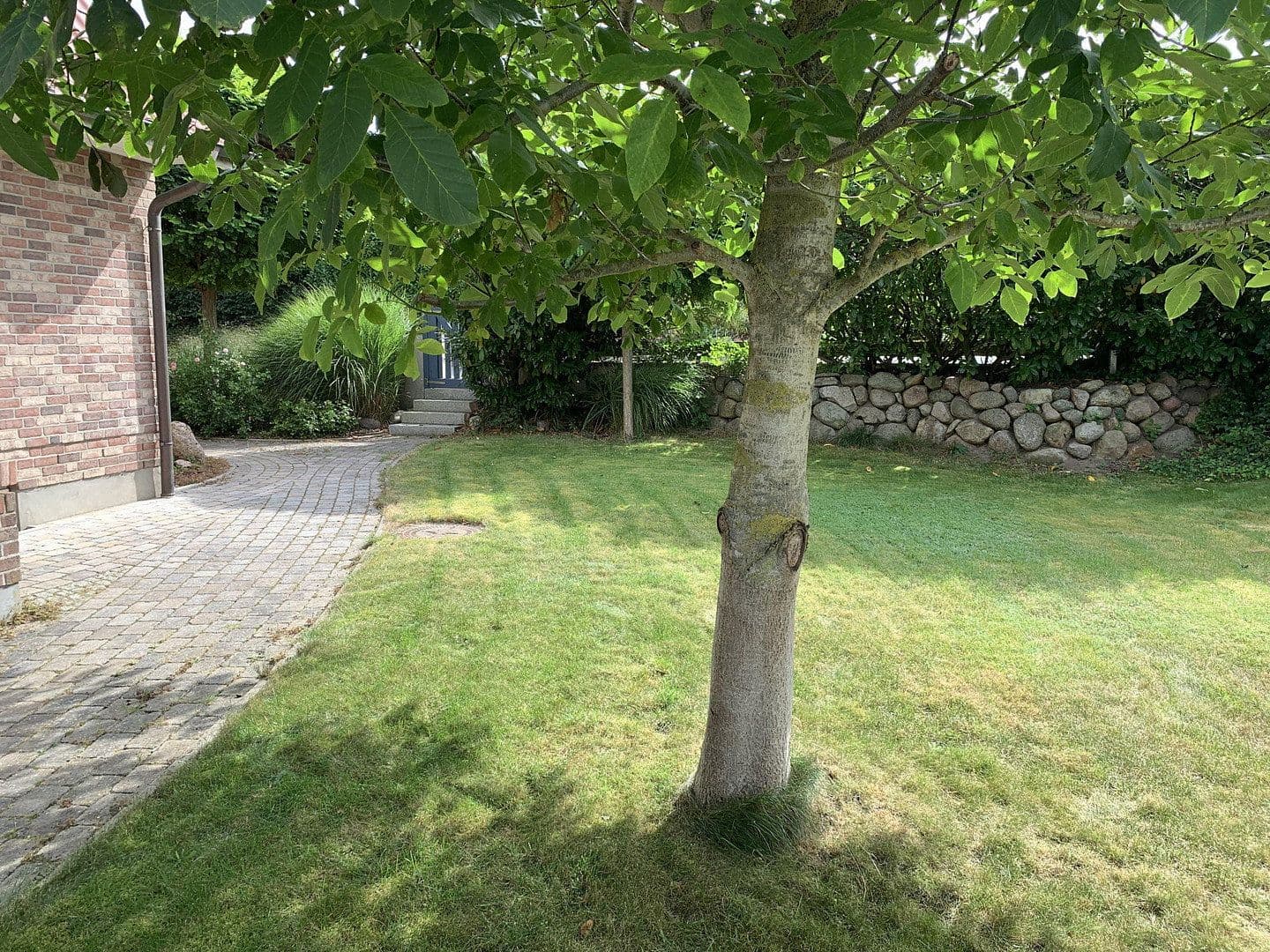 Predaj domu 186 m², pozemek 1.762 m², Bosau, Šlezvicko-Holštajnsko Predaj domu 186 m², pozemek 1.762 m², Bosau, Šlezvicko-Holštajnsko