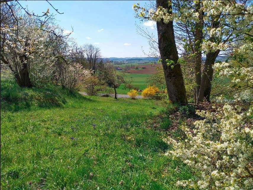 Predaj domu 111 m², pozemek 1.842 m², Selbitz, Bavorsko Predaj domu 111 m², pozemek 1.842 m², Selbitz, Bavorsko