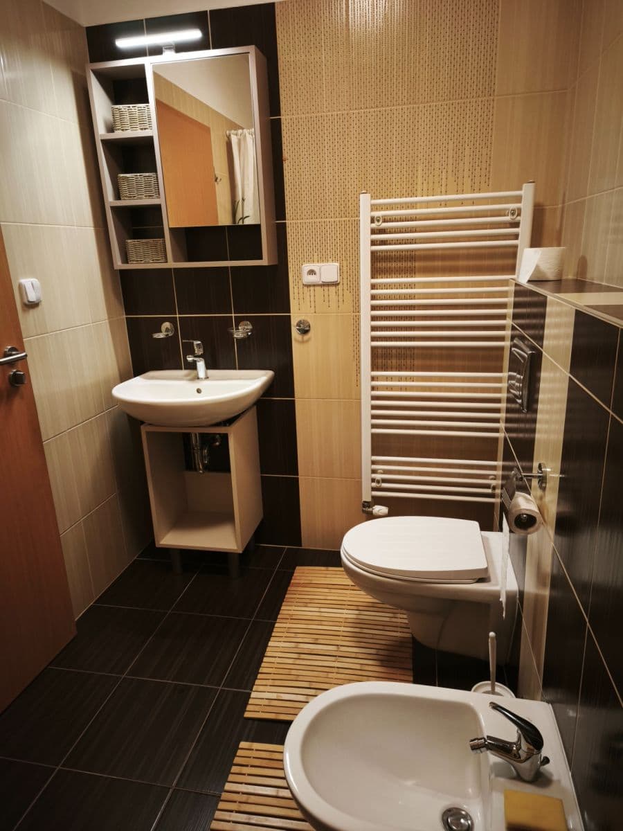 Prenájom bytu 1-izbový 45 m², Kařez, Plzeňský kraj Prenájom bytu 1-izbový 45 m², Kařez, Plzeňský kraj