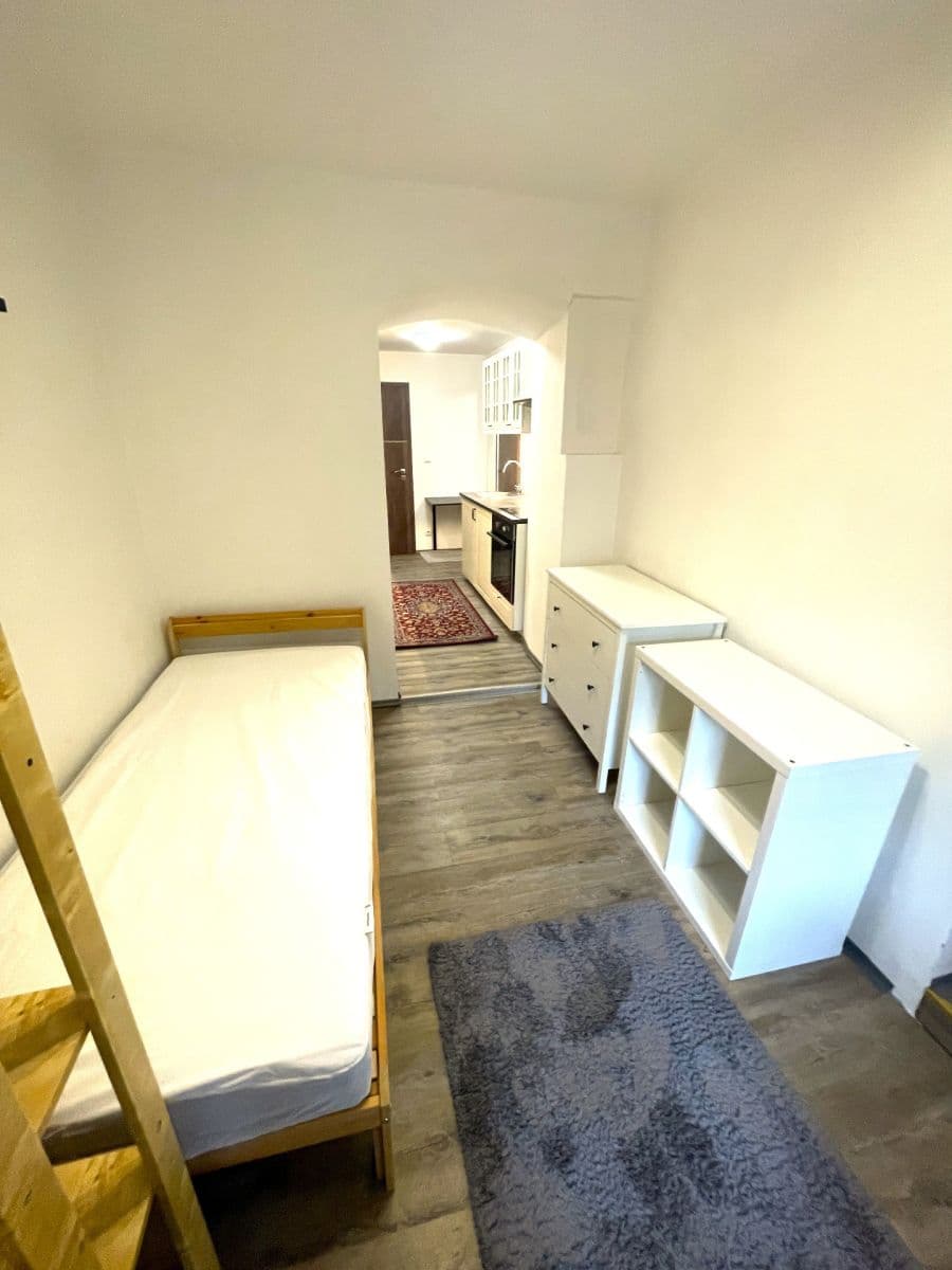 Prenájom bytu 1-izbový 18 m², Na Cikánce, Praha, Praha Prenájom bytu 1-izbový 18 m², Na Cikánce, Praha, Praha
