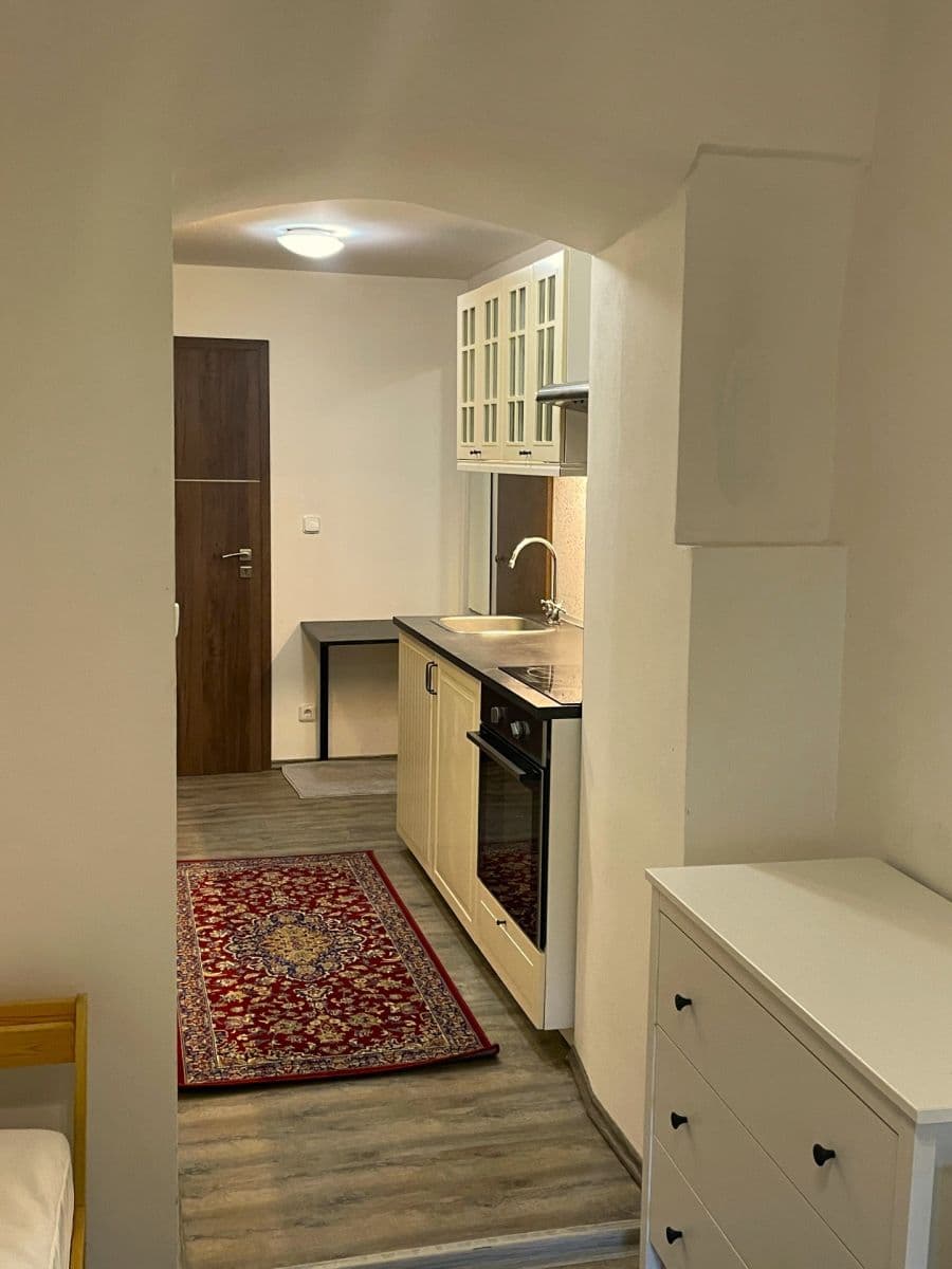 Prenájom bytu 1-izbový 18 m², Na Cikánce, Praha, Praha Prenájom bytu 1-izbový 18 m², Na Cikánce, Praha, Praha