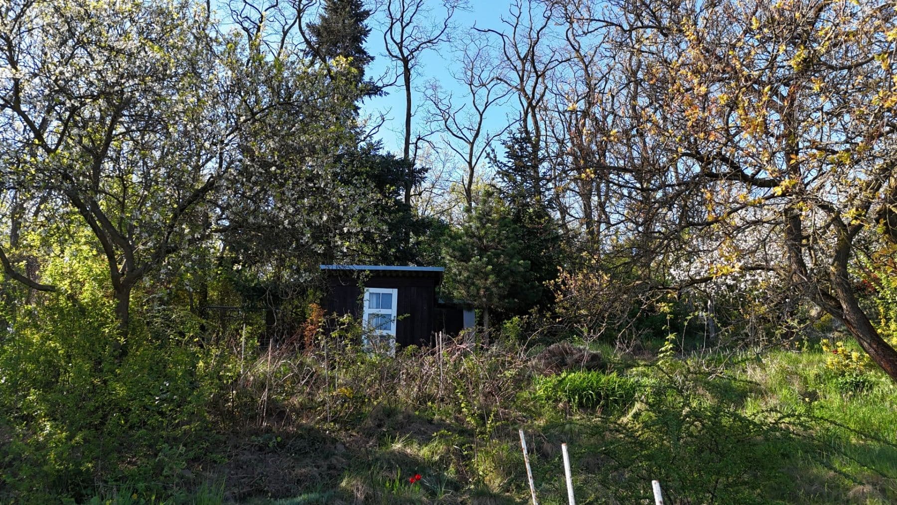 Predaj pozemku 670 m², Brno, Jihomoravský kraj Predaj pozemku 670 m², Brno, Jihomoravský kraj