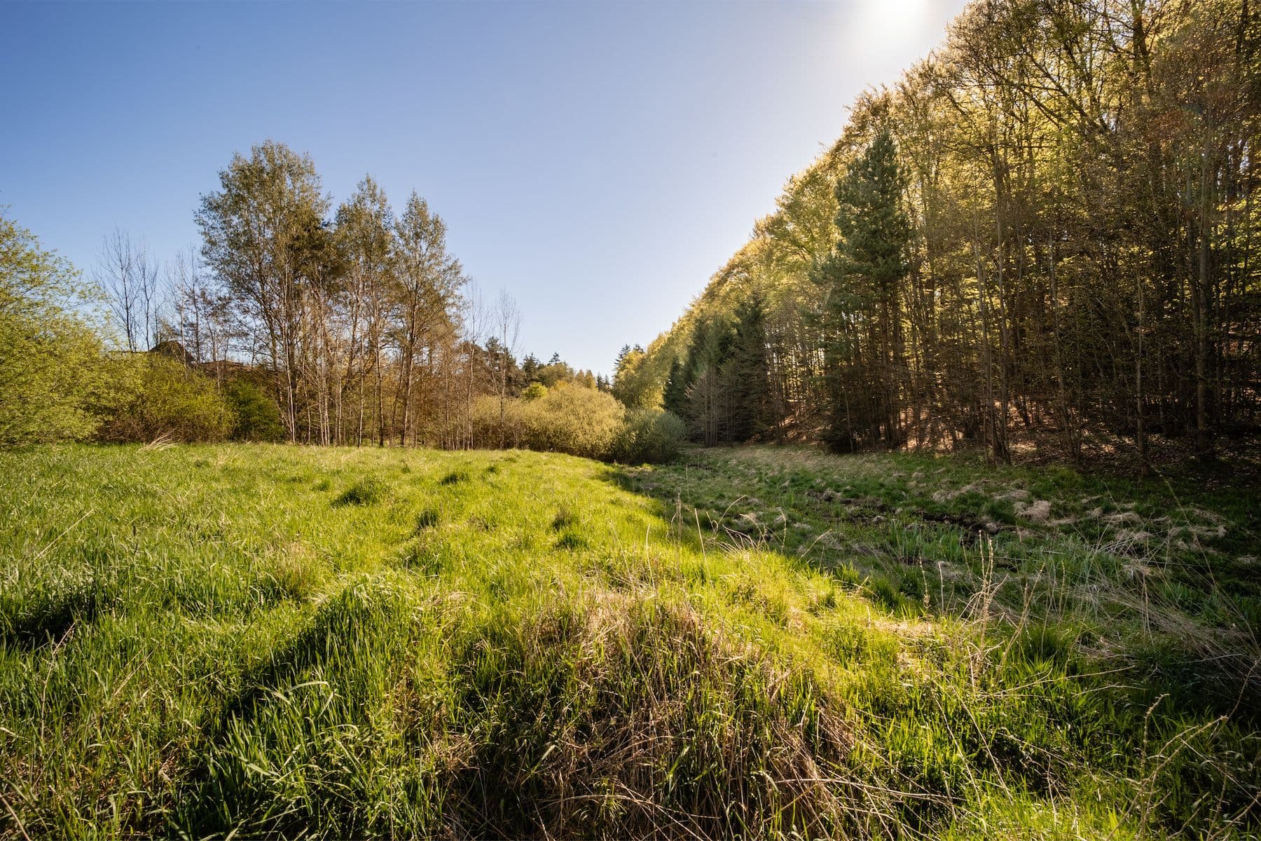Predaj pozemku 3.576 m², Temešvár, Jihočeský kraj Predaj pozemku 3.576 m², Temešvár, Jihočeský kraj
