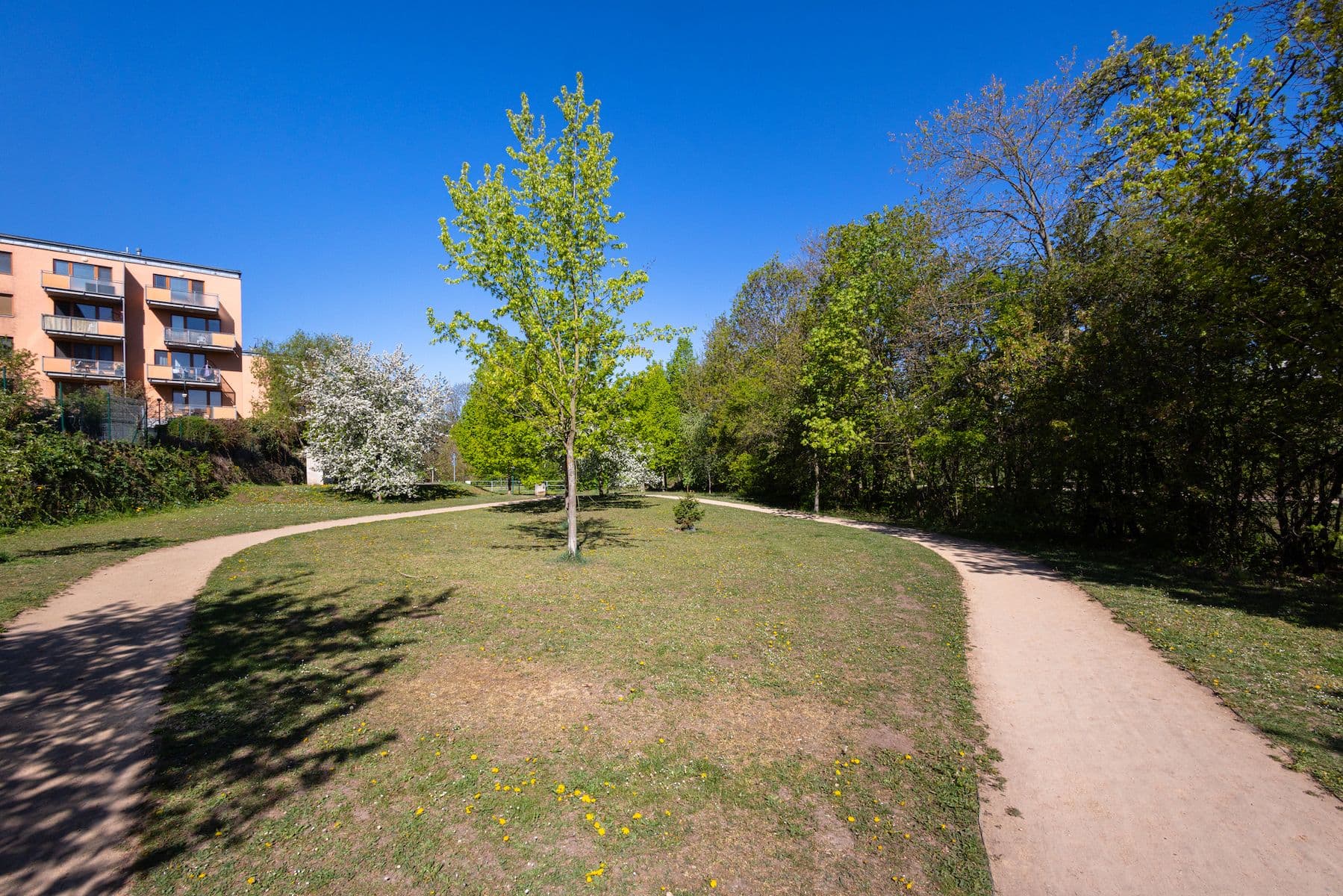 Predaj bytu 3-izbový 78 m², Nepelova, Praha, Praha Predaj bytu 3-izbový 78 m², Nepelova, Praha, Praha