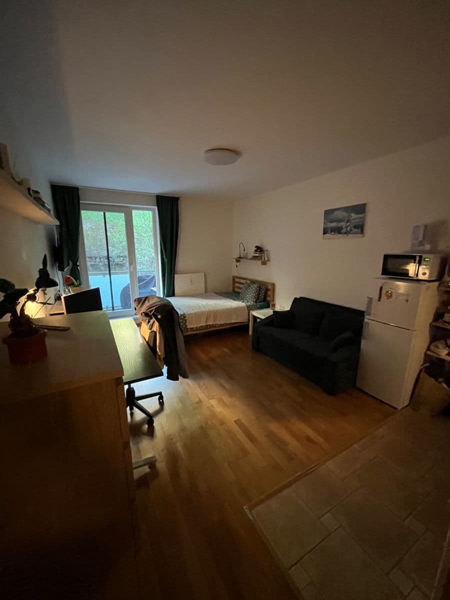 Prenájom bytu 1-izbový 33 m², Úvoz, Brno, Jihomoravský kraj Prenájom bytu 1-izbový 33 m², Úvoz, Brno, Jihomoravský kraj