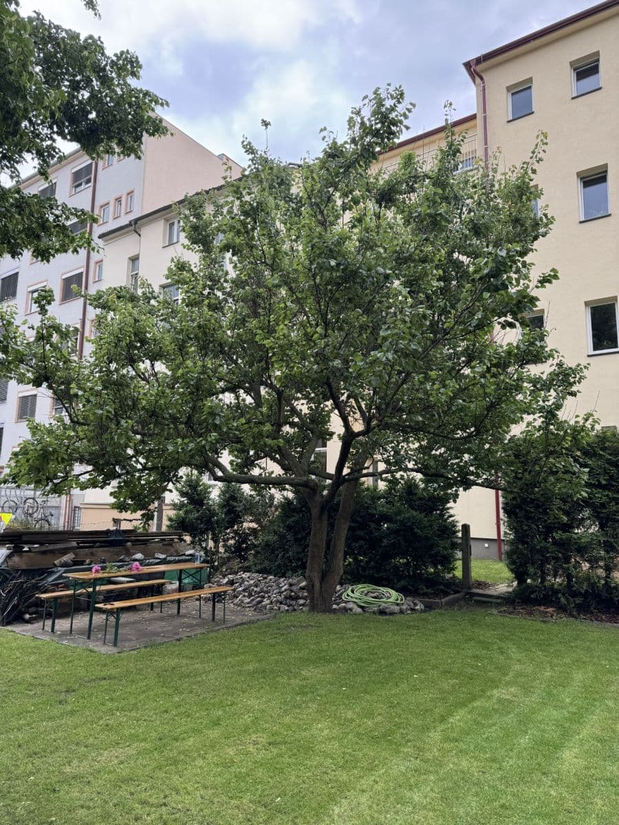 Prenájom bytu 2-izbový 88 m², Hřímalého, Plzeň, Plzeňský kraj Prenájom bytu 2-izbový 88 m², Hřímalého, Plzeň, Plzeňský kraj