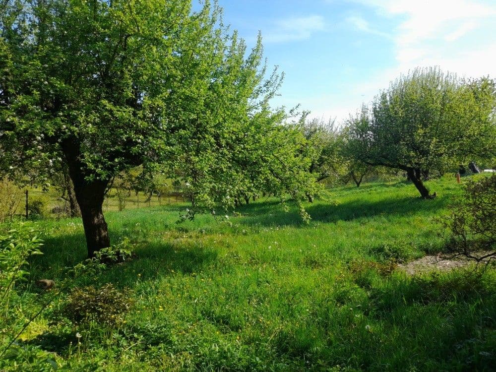 Predaj pozemku 2.321 m², Studnice, Královéhradecký kraj Predaj pozemku 2.321 m², Studnice, Královéhradecký kraj
