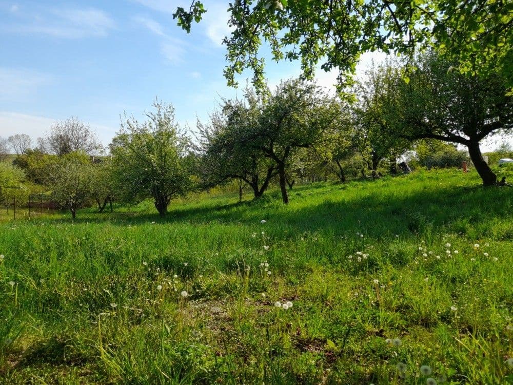 Predaj pozemku 2.321 m², Studnice, Královéhradecký kraj Predaj pozemku 2.321 m², Studnice, Královéhradecký kraj