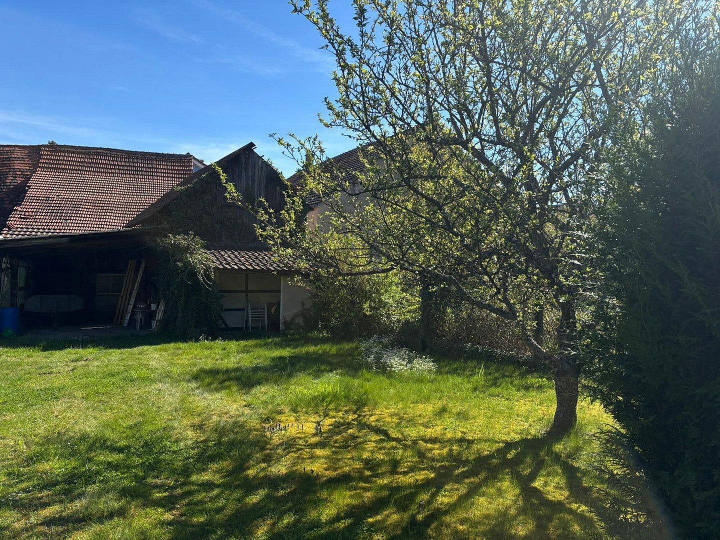 Predaj domu 96 m², pozemek 1.092 m², Bretzfeld, Bádensko-Wurttembersko Predaj domu 96 m², pozemek 1.092 m², Bretzfeld, Bádensko-Wurttembersko
