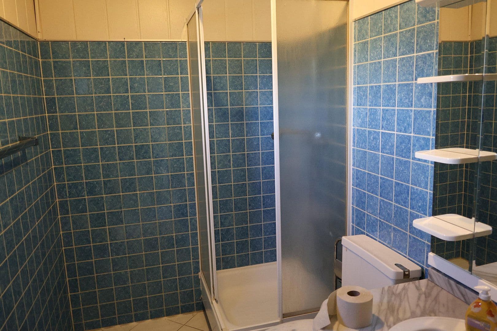 Predaj domu 165 m², pozemek 2.604 m², Moselstrasse 21, Dormagen, Severné Porýnie - Westfálsko Predaj domu 165 m², pozemek 2.604 m², Moselstrasse 21, Dormagen, Severné Porýnie - Westfálsko