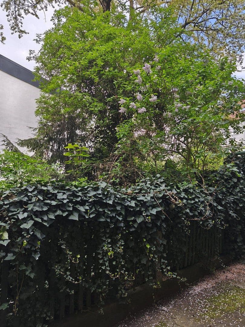 Prenájom bytu 20 m², Herrlachstrasse, Mannheim, Bádensko-Wurttembersko Prenájom bytu 20 m², Herrlachstrasse, Mannheim, Bádensko-Wurttembersko