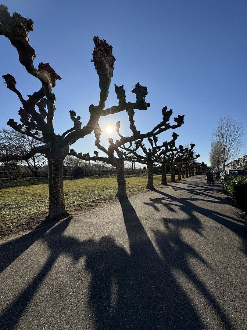 Prenájom bytu 3-izbový 90 m², Rheinallee 137, Düsseldorf, Severné Porýnie - Westfálsko Prenájom bytu 3-izbový 90 m², Rheinallee 137, Düsseldorf, Severné Porýnie - Westfálsko