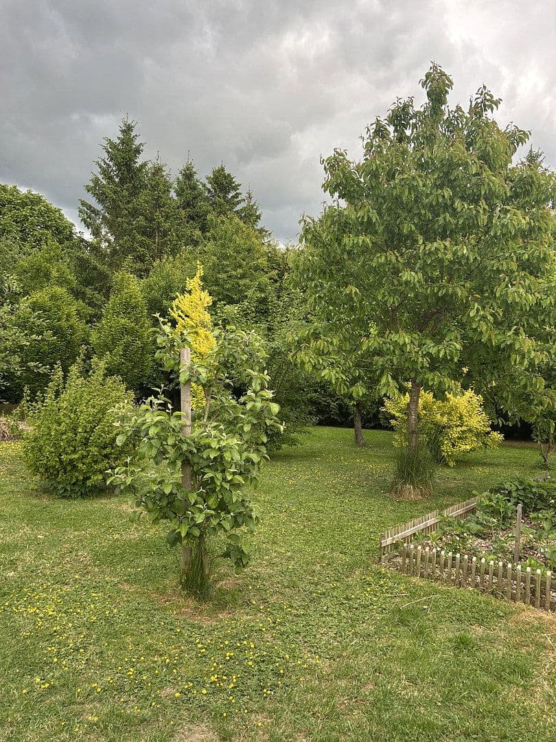 Predaj domu 100 m², pozemek 2.021 m², Gadebusch, Meklenbursko-Predpomoransko Predaj domu 100 m², pozemek 2.021 m², Gadebusch, Meklenbursko-Predpomoransko