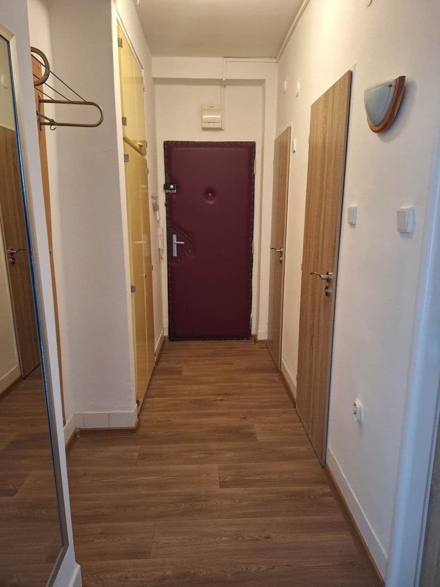 Prenájom bytu 2-izbový 52 m², Svatopluka Čecha, Brno, Jihomoravský kraj Prenájom bytu 2-izbový 52 m², Svatopluka Čecha, Brno, Jihomoravský kraj