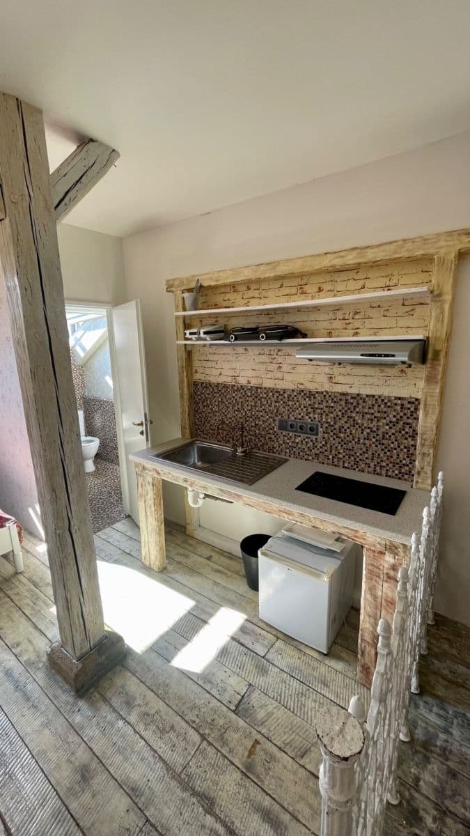 Prenájom bytu 1-izbový 25 m², Lublaňská, Praha, Praha Prenájom bytu 1-izbový 25 m², Lublaňská, Praha, Praha