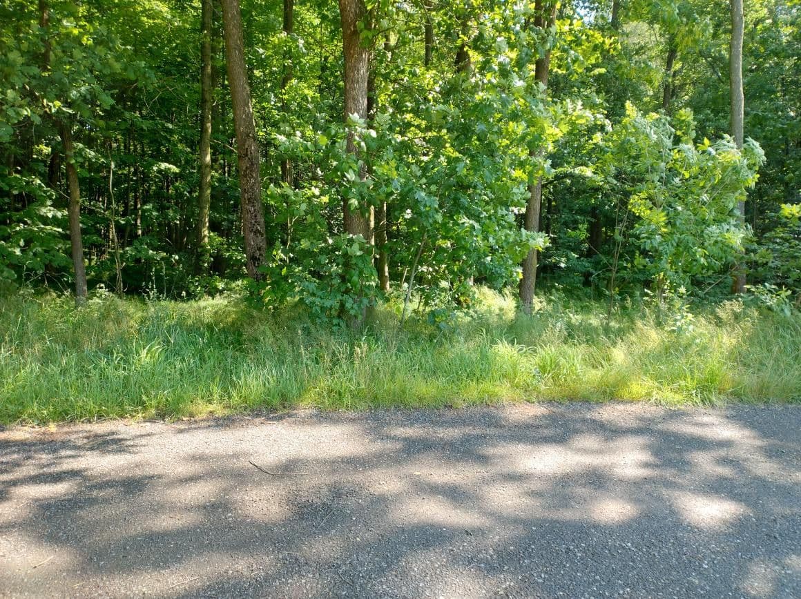 Predaj pozemku 1.000 m², Ostrava, Moravskoslezský kraj Predaj pozemku 1.000 m², Ostrava, Moravskoslezský kraj