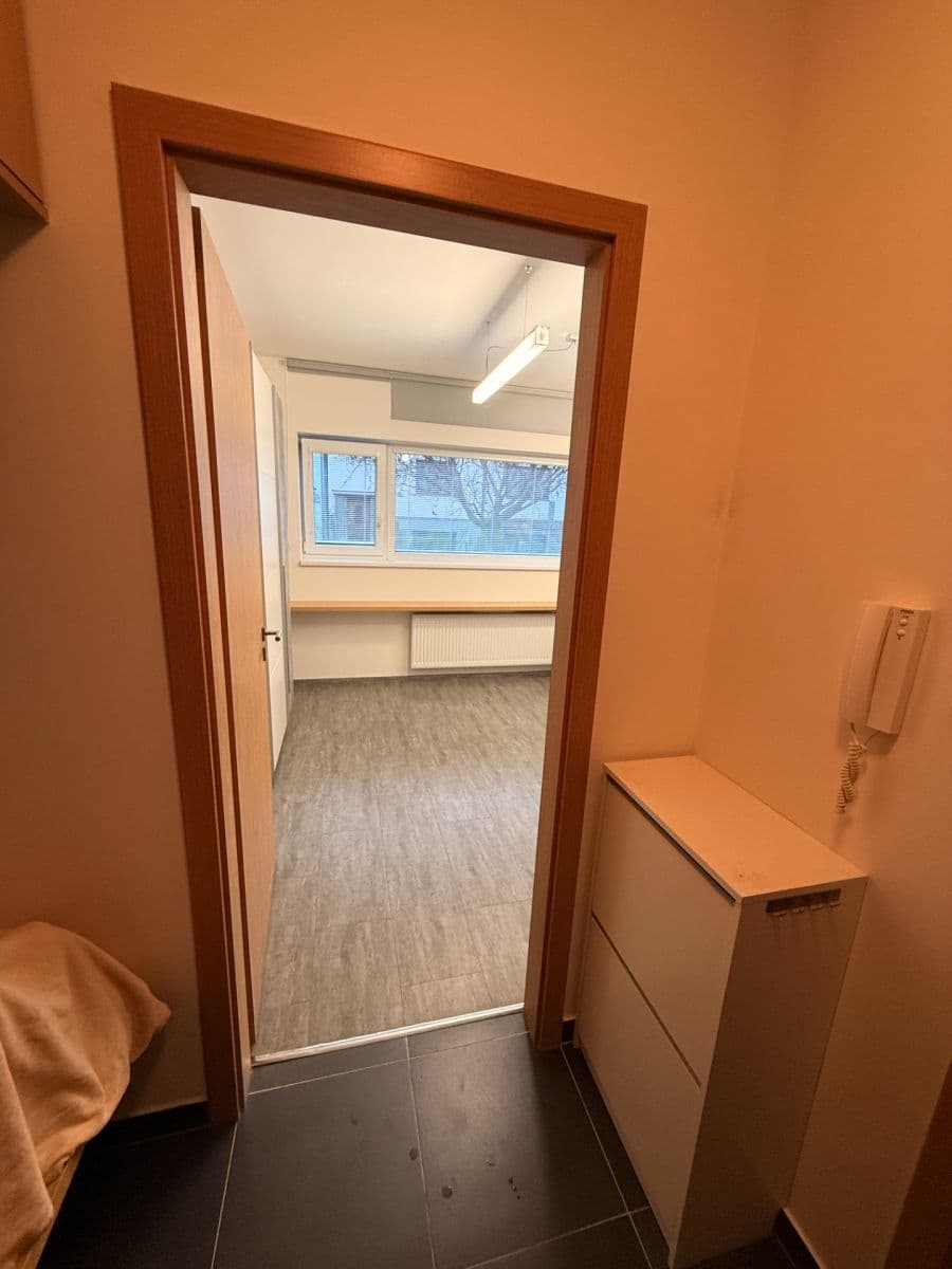Prenájom bytu 1-izbový 27 m², Cacovická, Brno, Jihomoravský kraj Prenájom bytu 1-izbový 27 m², Cacovická, Brno, Jihomoravský kraj