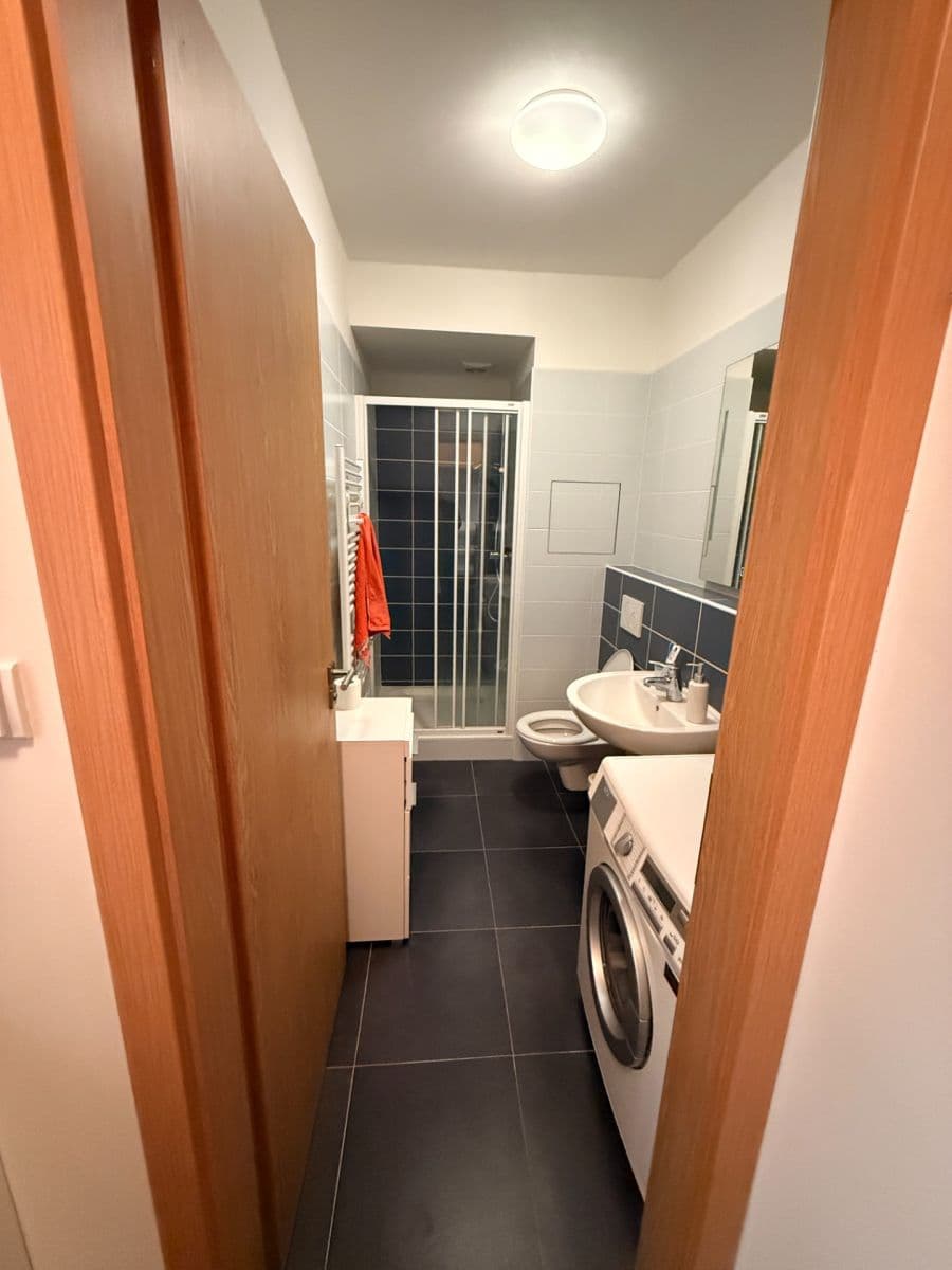 Prenájom bytu 1-izbový 27 m², Cacovická, Brno, Jihomoravský kraj Prenájom bytu 1-izbový 27 m², Cacovická, Brno, Jihomoravský kraj