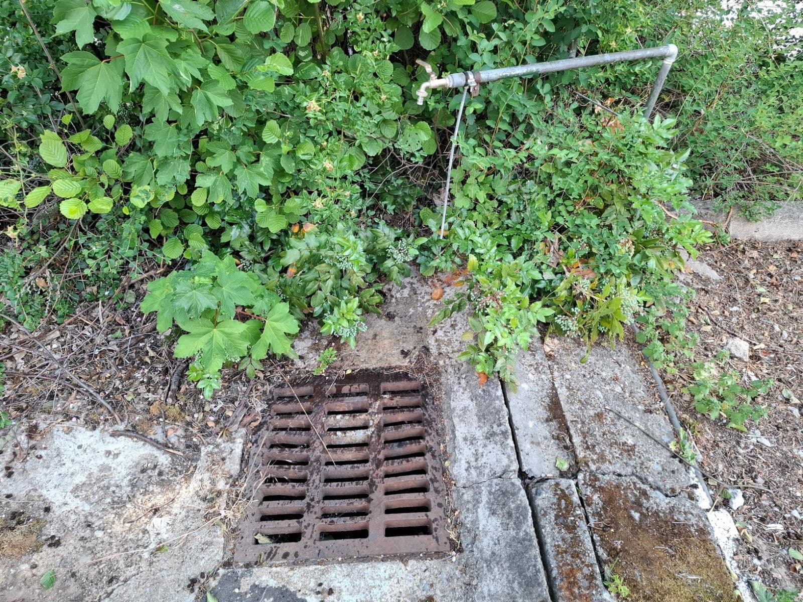 Prenájom garáže 16 m², Matzenauerova, Brno, Jihomoravský kraj Prenájom garáže 16 m², Matzenauerova, Brno, Jihomoravský kraj