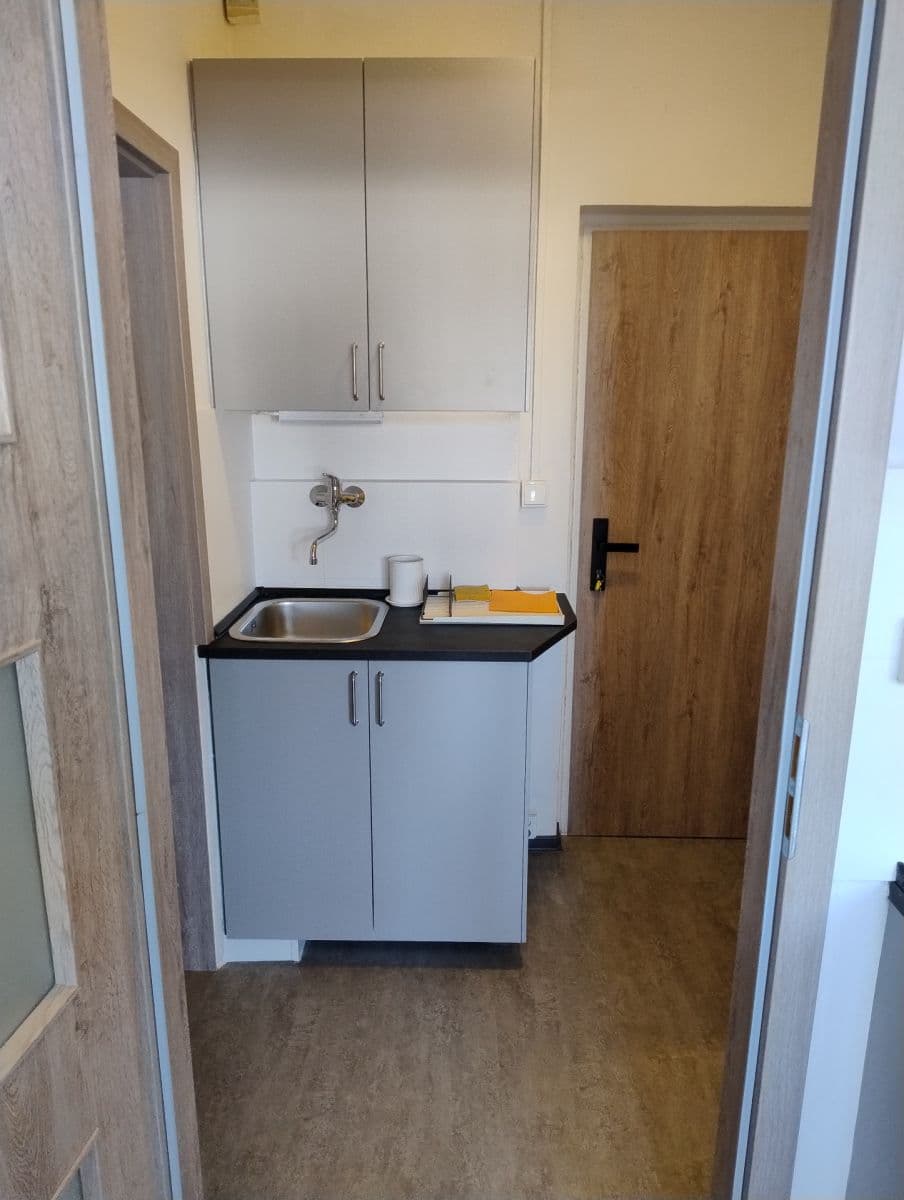 Prenájom bytu 1-izbový 20 m², Mendlovo náměstí, Brno, Jihomoravský kraj Prenájom bytu 1-izbový 20 m², Mendlovo náměstí, Brno, Jihomoravský kraj