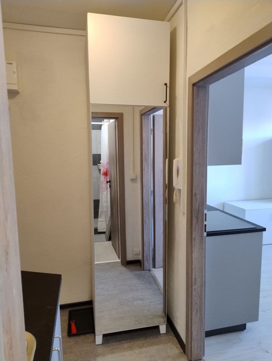 Prenájom bytu 1-izbový 20 m², Mendlovo náměstí, Brno, Jihomoravský kraj Prenájom bytu 1-izbový 20 m², Mendlovo náměstí, Brno, Jihomoravský kraj