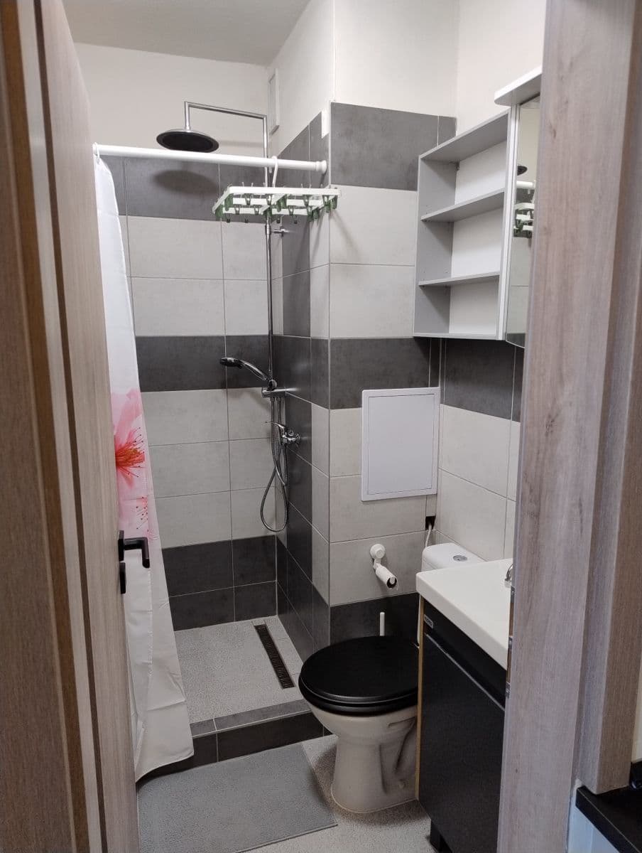 Prenájom bytu 1-izbový 20 m², Mendlovo náměstí, Brno, Jihomoravský kraj Prenájom bytu 1-izbový 20 m², Mendlovo náměstí, Brno, Jihomoravský kraj