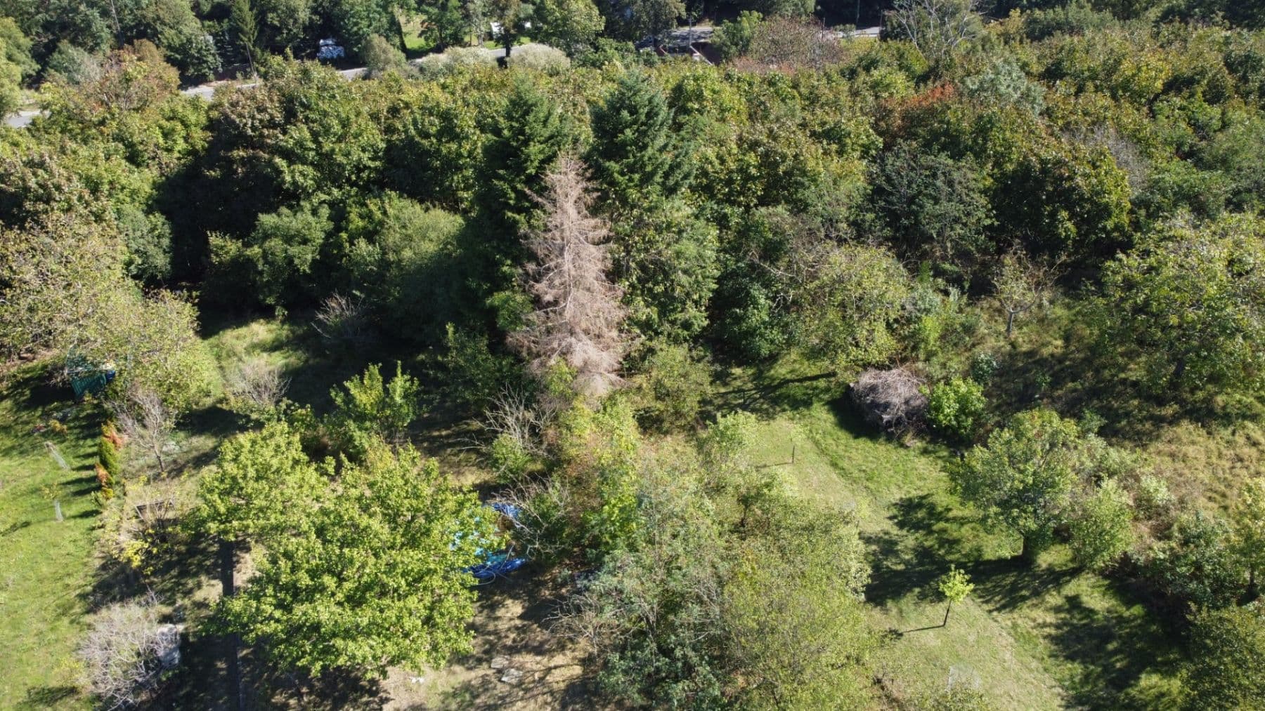 Predaj rekreačného objektu 14 m², pozemek 575 m², Šlapanice, Jihomoravský kraj Predaj rekreačného objektu 14 m², pozemek 575 m², Šlapanice, Jihomoravský kraj
