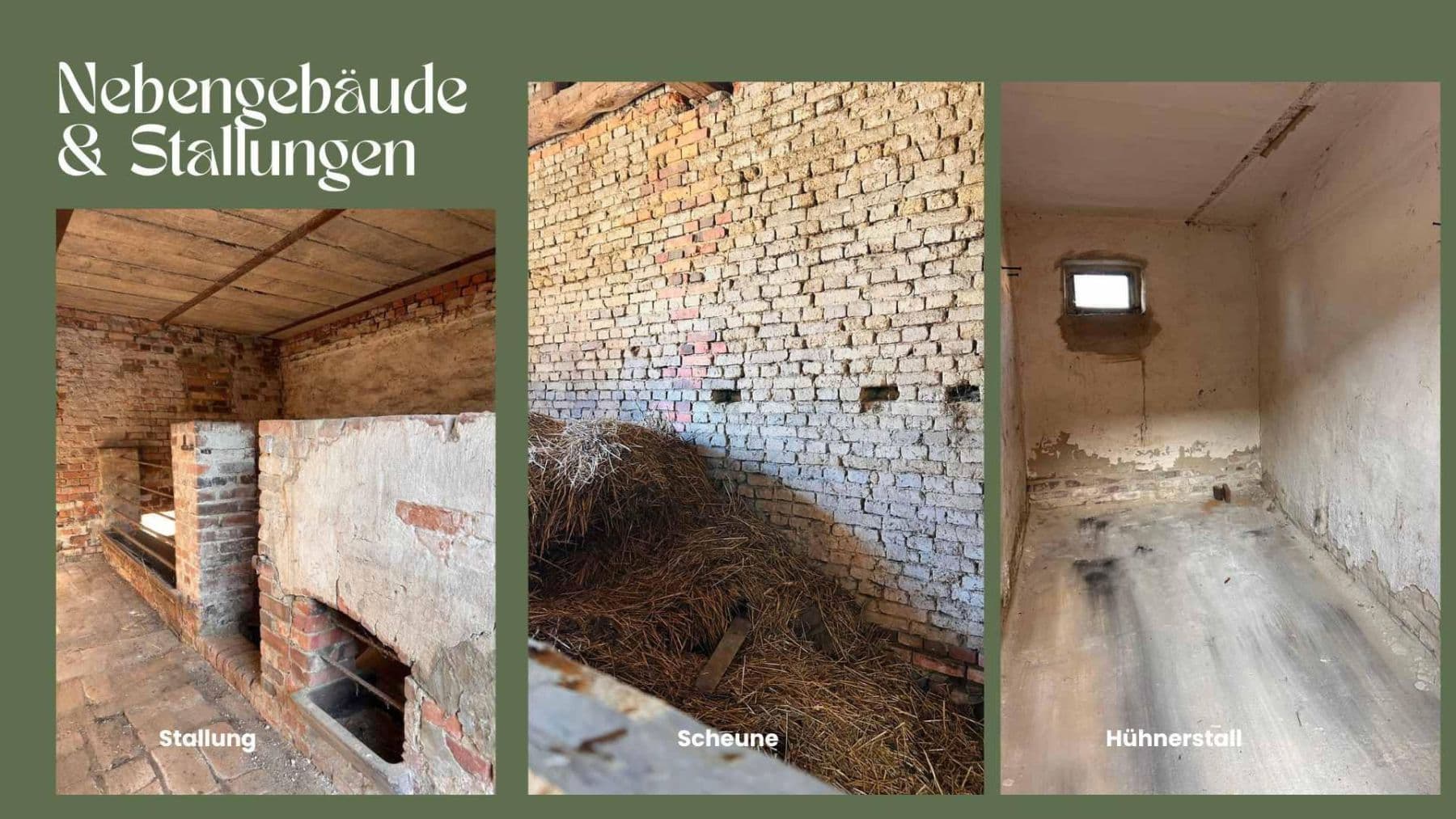 Predaj domu 300 m², pozemek 1.227 m², Landstr. 69, Elsterheide - Halštrowska Hola, Sasko Predaj domu 300 m², pozemek 1.227 m², Landstr. 69, Elsterheide - Halštrowska Hola, Sasko