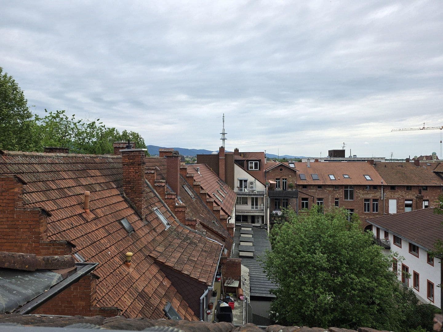 Prenájom bytu 3-izbový 65 m², Landau, Porýnie-Falcko Prenájom bytu 3-izbový 65 m², Landau, Porýnie-Falcko