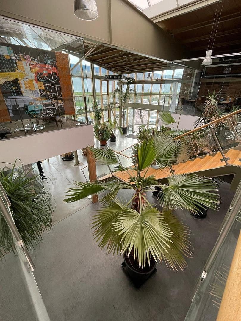 Predaj nebytového priestoru 7.370 m², Bochum, Severné Porýnie - Westfálsko Predaj nebytového priestoru 7.370 m², Bochum, Severné Porýnie - Westfálsko