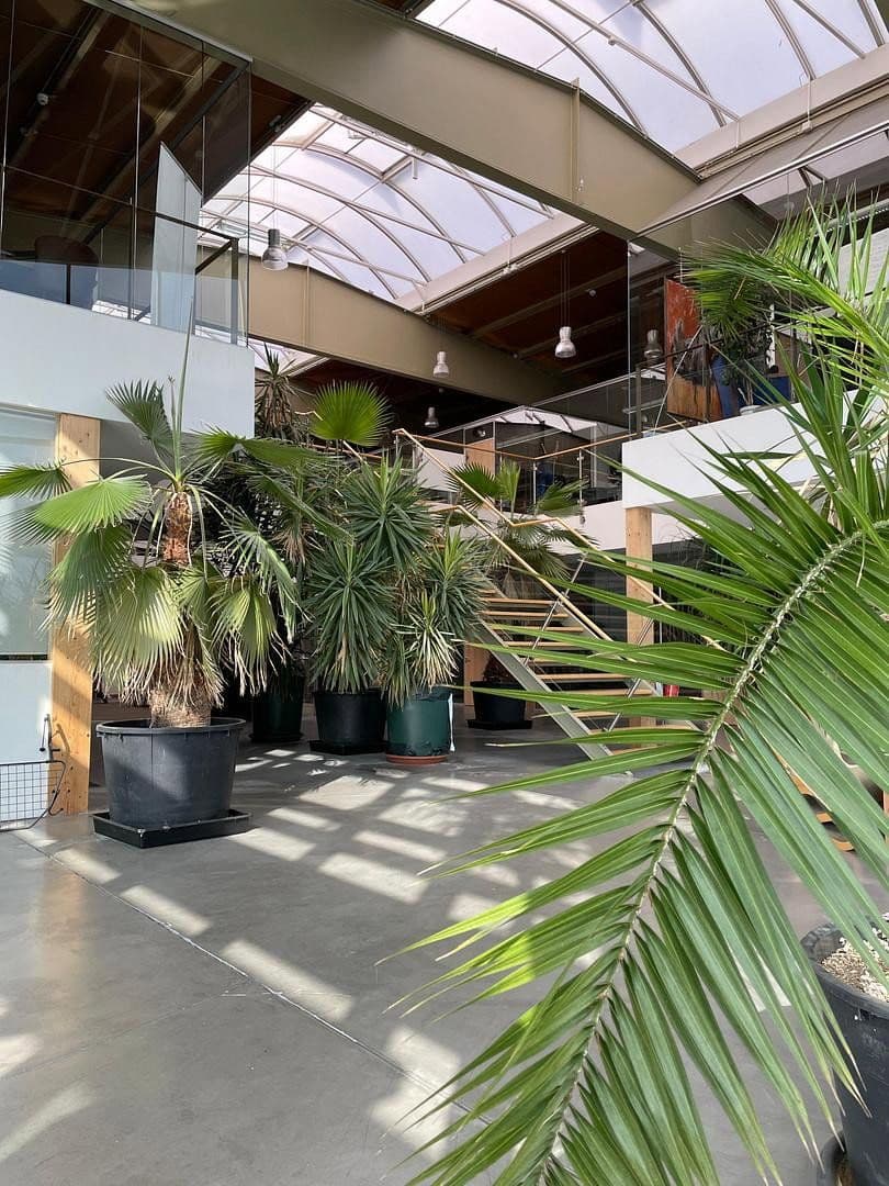 Predaj nebytového priestoru 7.370 m², Bochum, Severné Porýnie - Westfálsko Predaj nebytového priestoru 7.370 m², Bochum, Severné Porýnie - Westfálsko