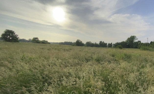 Prenájom pozemku 14.000 m², Hohenwestedt, Šlezvicko-Holštajnsko Prenájom pozemku 14.000 m², Hohenwestedt, Šlezvicko-Holštajnsko