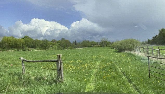 Prenájom pozemku 14.000 m², Hohenwestedt, Šlezvicko-Holštajnsko Prenájom pozemku 14.000 m², Hohenwestedt, Šlezvicko-Holštajnsko